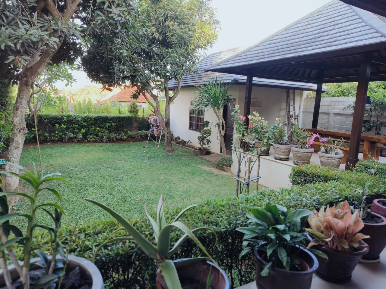 WhatsApp Image 2025-10-19 at 19.26.52