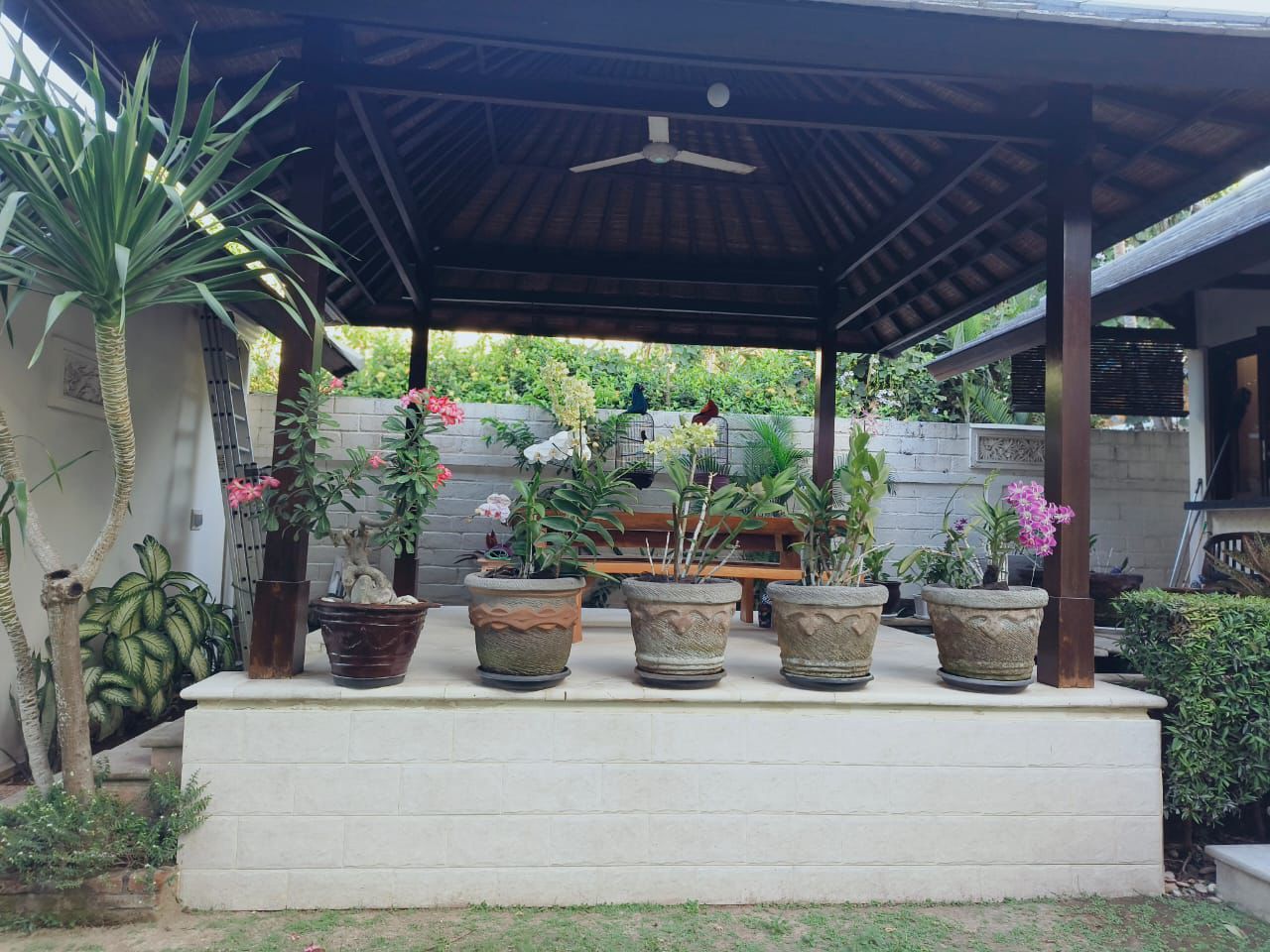 WhatsApp Image 2025-10-19 at 19.26.58